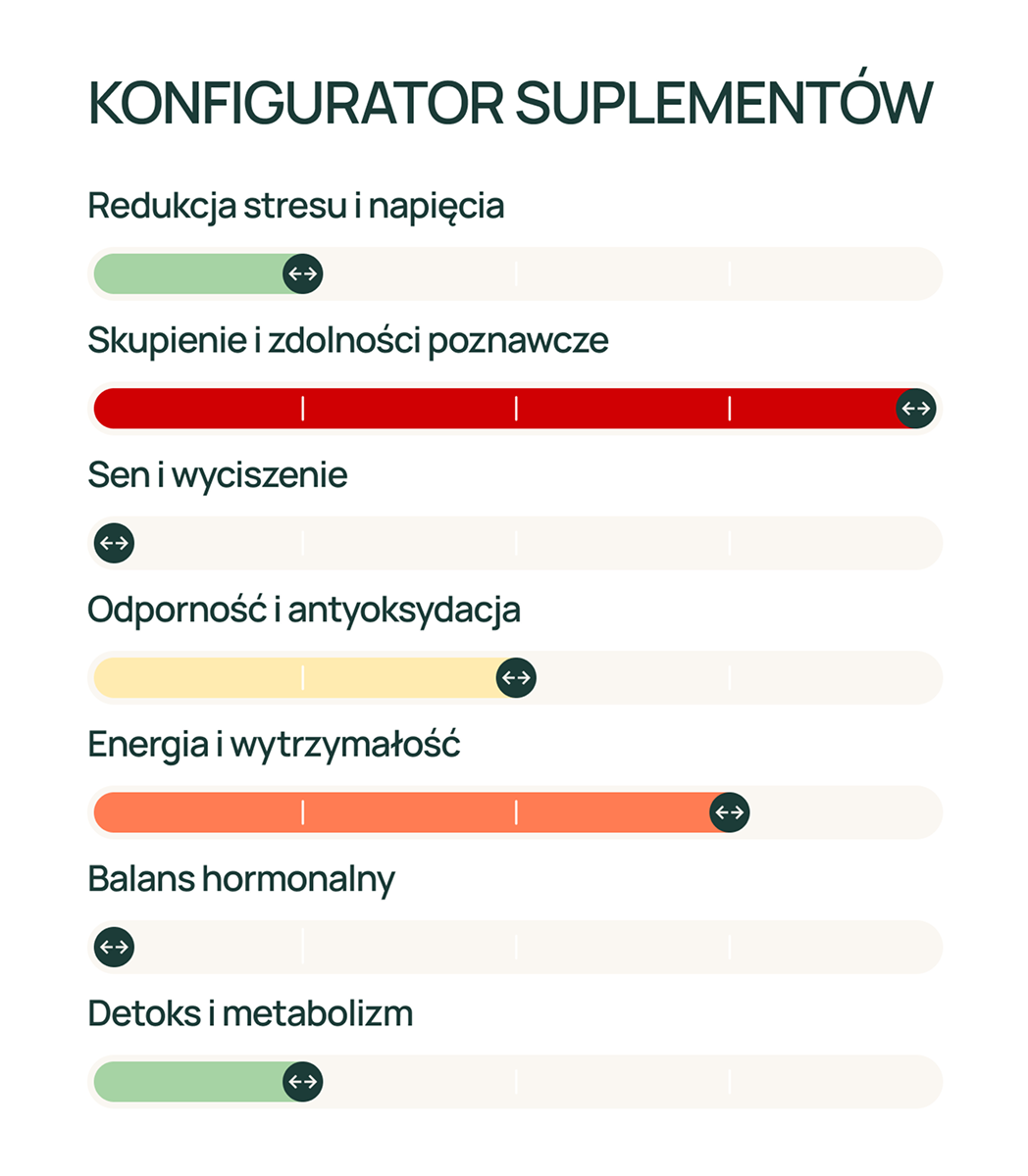 Konfigurator Promo
