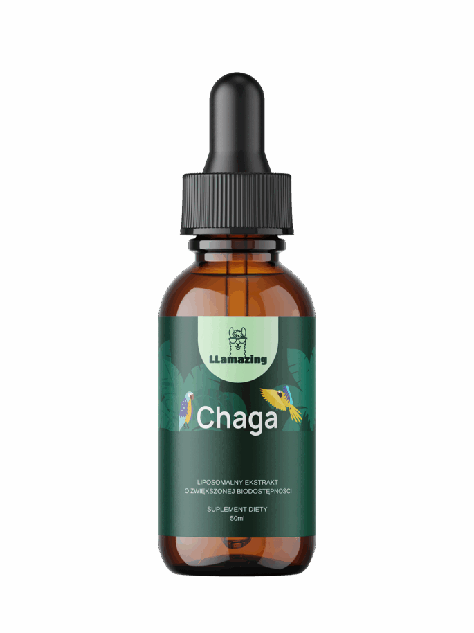 Chaga - obrazek 2
