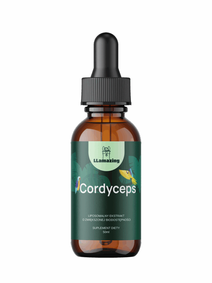 Cordyceps - obrazek 2