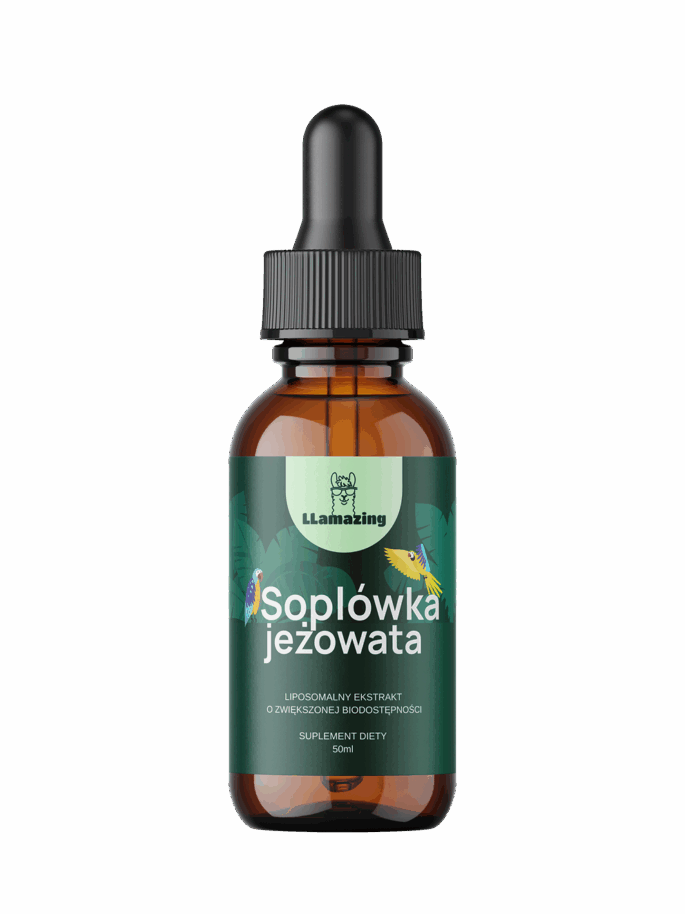 Soplówka Jeżowata - obrazek 2