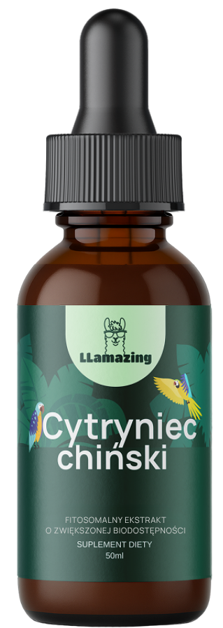 Cytryniec chiński – Ekstrakt fitosomalny