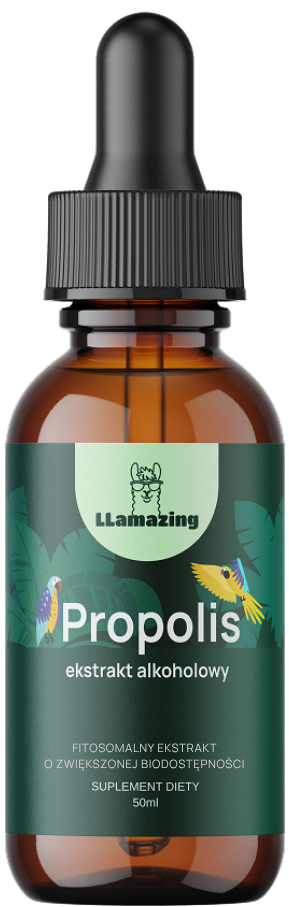 Propolis alkoholowy – Ekstrakt fitosomalny