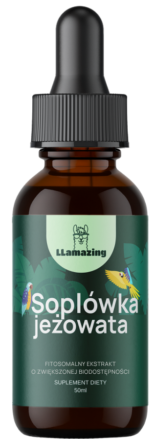 Soplówka jeżowata – Ekstrakt fitosomalny