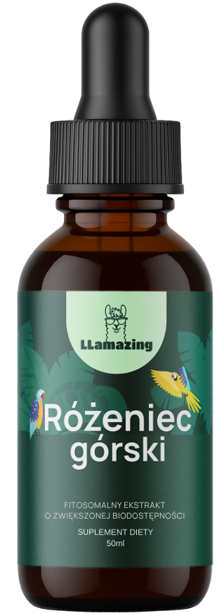 Różeniec górski – Ekstrakt fitosomalny