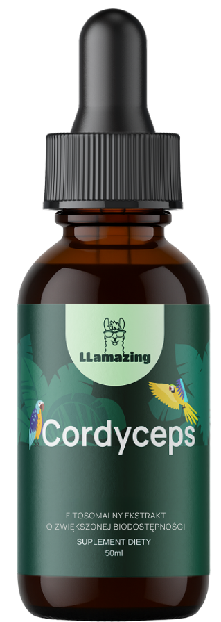 Cordyceps – Ekstrakt fitosomalny