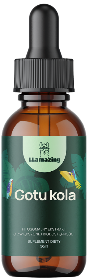 Gotu kola – Ekstrakt fitosomalny